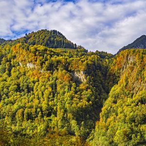 Preview wallpaper mountain, peak, trees, autumn, landscape