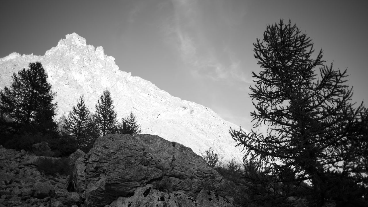 Wallpaper mountain, peak, trees, stones, black and white