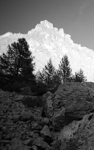 Preview wallpaper mountain, peak, trees, stones, black and white