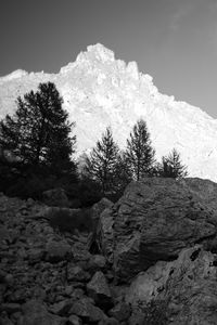 Preview wallpaper mountain, peak, trees, stones, black and white