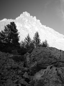 Preview wallpaper mountain, peak, trees, stones, black and white