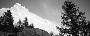 Preview wallpaper mountain, peak, trees, stones, black and white