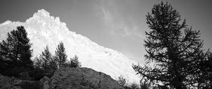 Preview wallpaper mountain, peak, trees, stones, black and white