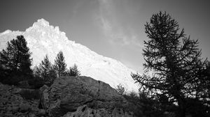 Preview wallpaper mountain, peak, trees, stones, black and white