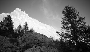 Preview wallpaper mountain, peak, trees, stones, black and white