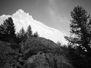 Preview wallpaper mountain, peak, trees, stones, black and white