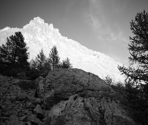 Preview wallpaper mountain, peak, trees, stones, black and white