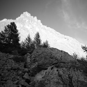 Preview wallpaper mountain, peak, trees, stones, black and white