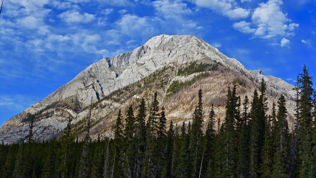 Wallpaper mountain, peak, trees, clouds