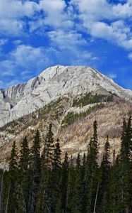 Preview wallpaper mountain, peak, trees, clouds