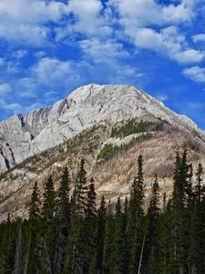 Preview wallpaper mountain, peak, trees, clouds