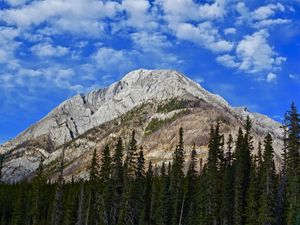 Preview wallpaper mountain, peak, trees, clouds