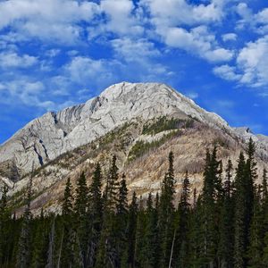 Preview wallpaper mountain, peak, trees, clouds