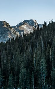 Preview wallpaper mountain, peak, trees, forest, sky