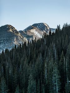 Preview wallpaper mountain, peak, trees, forest, sky