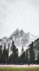 Preview wallpaper mountain, peak, trees, snow, landscape