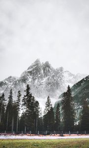 Preview wallpaper mountain, peak, trees, snow, landscape
