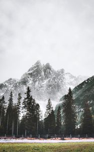 Preview wallpaper mountain, peak, trees, snow, landscape