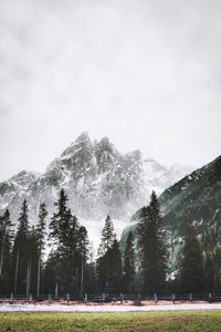 Preview wallpaper mountain, peak, trees, snow, landscape