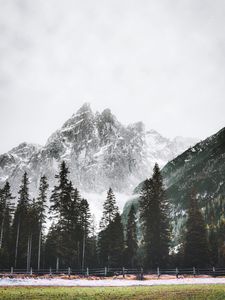 Preview wallpaper mountain, peak, trees, snow, landscape