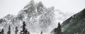 Preview wallpaper mountain, peak, trees, snow, landscape