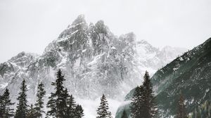 Preview wallpaper mountain, peak, trees, snow, landscape