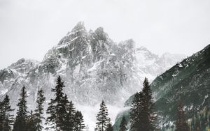 Preview wallpaper mountain, peak, trees, snow, landscape