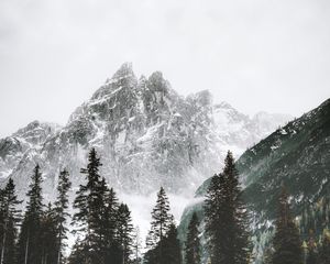 Preview wallpaper mountain, peak, trees, snow, landscape