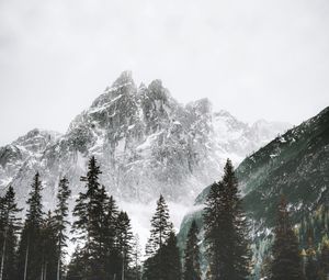 Preview wallpaper mountain, peak, trees, snow, landscape