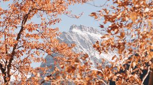 Preview wallpaper mountain, peak, trees, branches, landscape