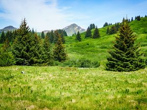 Preview wallpaper mountain, peak, trees, hills