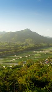 Preview wallpaper mountain, peak, trees, plantations