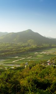 Preview wallpaper mountain, peak, trees, plantations