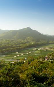 Preview wallpaper mountain, peak, trees, plantations