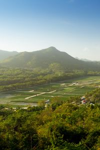 Preview wallpaper mountain, peak, trees, plantations