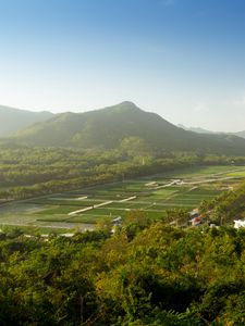 Preview wallpaper mountain, peak, trees, plantations