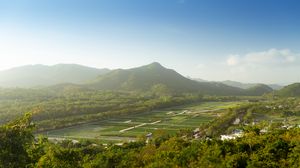 Preview wallpaper mountain, peak, trees, plantations