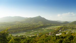 Preview wallpaper mountain, peak, trees, plantations