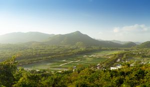 Preview wallpaper mountain, peak, trees, plantations