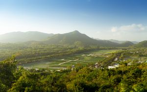 Preview wallpaper mountain, peak, trees, plantations