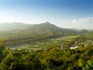 Preview wallpaper mountain, peak, trees, plantations