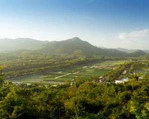 Preview wallpaper mountain, peak, trees, plantations