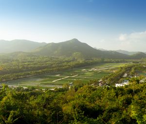 Preview wallpaper mountain, peak, trees, plantations