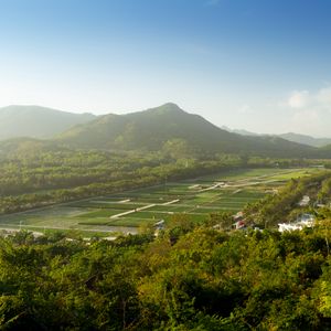 Preview wallpaper mountain, peak, trees, plantations