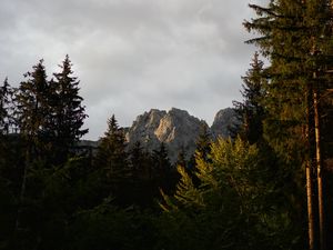 Preview wallpaper mountain, peak, trees, pines, forest