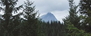 Preview wallpaper mountain, peak, trees, forest