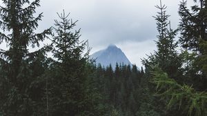 Preview wallpaper mountain, peak, trees, forest