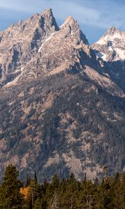 Preview wallpaper mountain, peak, trees, slope, landscape