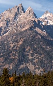 Preview wallpaper mountain, peak, trees, slope, landscape