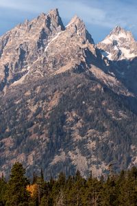 Preview wallpaper mountain, peak, trees, slope, landscape